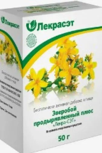 Трава зверобоя