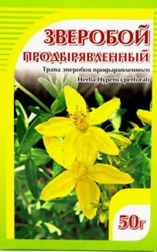Трава зверобоя