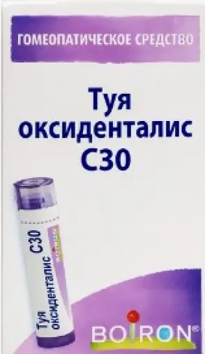 Туя окциденталис гранулы гомеопатические Разведение С30 4г