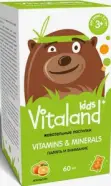 Виталэнд Витамины и Минералы Пастилки жеват. №60 в СПБ (Санкт-Петербурге) от ПетроАптека Бухарестская 90