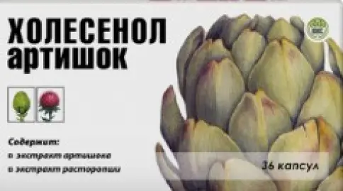 Холесенол Артишок Капсулы 410мг №36 произодства ВИС ООО