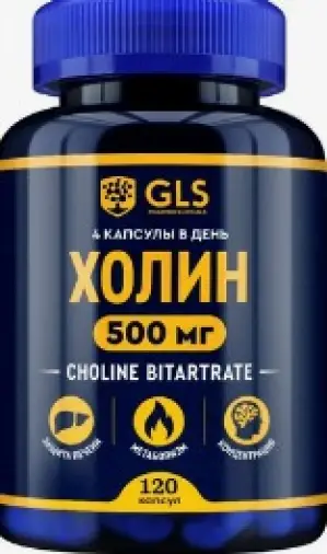 Холин 500мг Капсулы 125 мг (500 мг/4капс.) №120